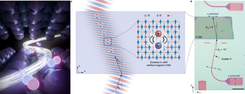 Concept of magnetic order-mediated excitonic negative refraction and schematic of the micro-device.